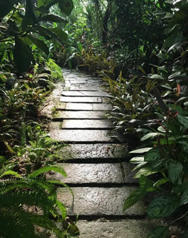 沈阳洗浴新地标！禄佰仕温泉洗浴，究竟有何特别之处