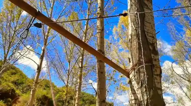 云顶山自然风景区_山西云顶山旅游攻略_太原周边露营地
