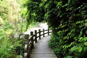 南岳衡山旅游攻略_衡山风景名胜区特色_南岳衡山景点介绍