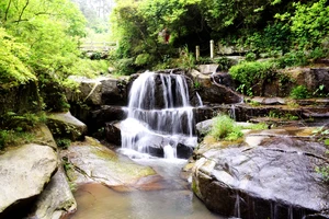 南岳衡山旅游攻略_南岳衡山景点介绍_衡山风景名胜区特色