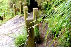 南岳衡山景点介绍_南岳衡山旅游攻略_衡山风景名胜区特色