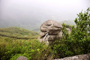 南岳衡山景点介绍_衡山风景名胜区特色_南岳衡山旅游攻略