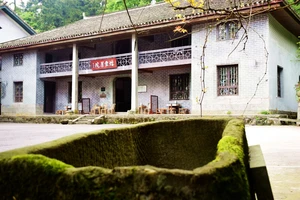 南岳衡山景点介绍_衡山风景名胜区特色_南岳衡山旅游攻略