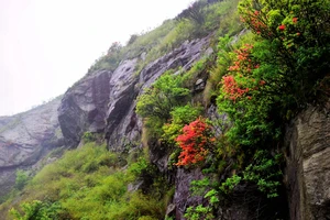 南岳衡山旅游攻略_南岳衡山景点介绍_衡山风景名胜区特色
