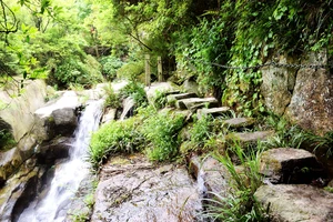 衡山风景名胜区特色_南岳衡山景点介绍_南岳衡山旅游攻略