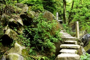 南岳衡山景点介绍_南岳衡山旅游攻略_衡山风景名胜区特色