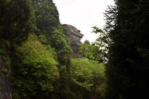 衡山风景名胜区特色_南岳衡山旅游攻略_南岳衡山景点介绍