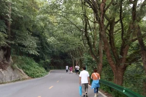 衡山旅游攻略_南岳衡山旅游攻略_南岳衡山徒步指南