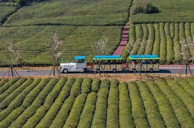 德清文旅推介会_莫干山免费旅游路线_德清莫干山旅游攻略