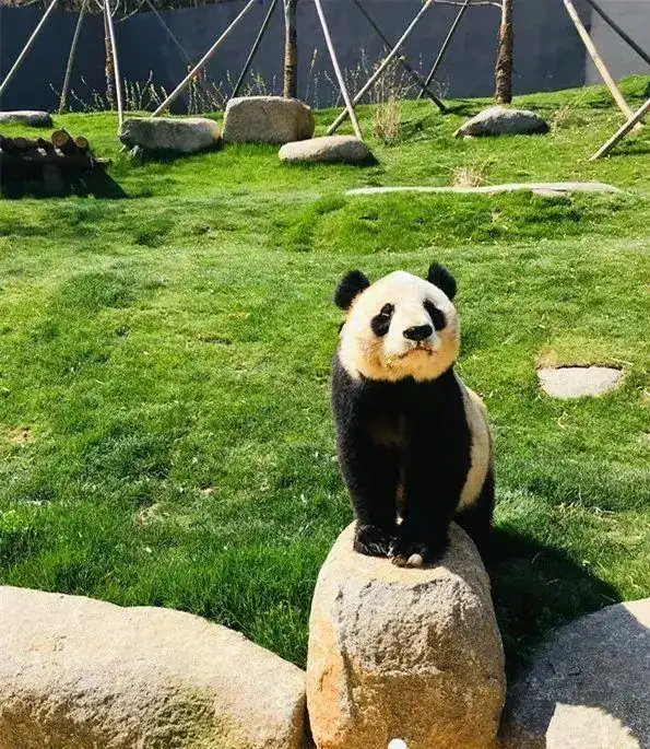 莫干山免费旅游路线_德清莫干山旅游攻略_德清文旅推介会