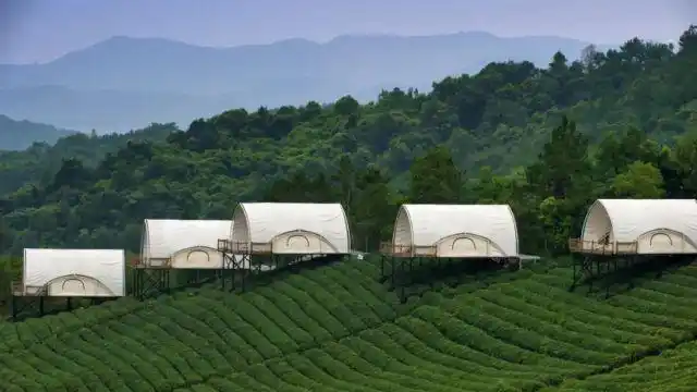 莫干山免费旅游路线_德清文旅推介会_德清莫干山旅游攻略