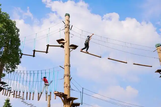 德清莫干山旅游攻略_莫干山免费旅游路线_德清文旅推介会
