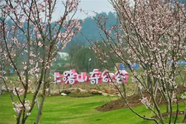 德清莫干山旅游攻略_莫干山免费旅游路线_德清文旅推介会