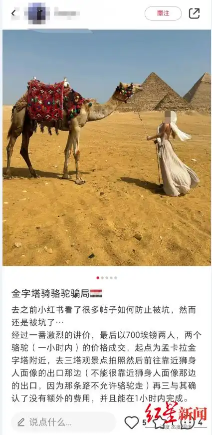 中国游客在埃及被骗经历_埃及旅游攻略_埃及旅游骗局