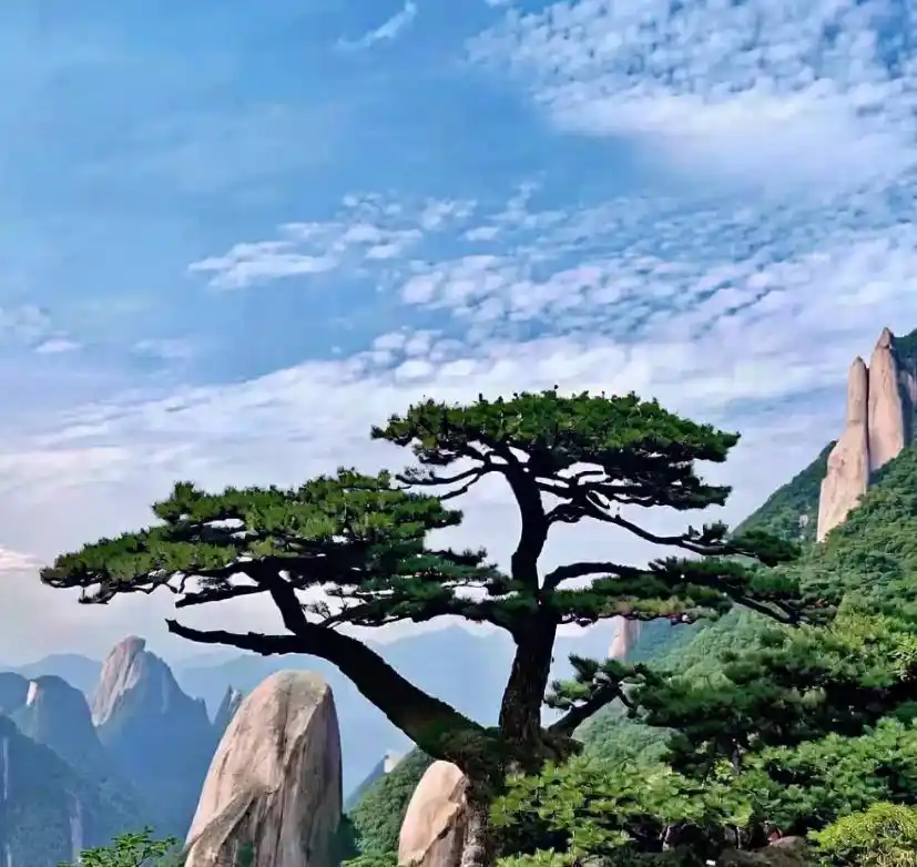 上海到安徽黄山2日旅游攻略_黄山2日游最佳路线_黄山经典景点攻略