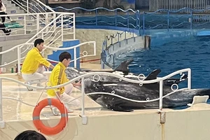 泉城欧乐堡低龄宝宝游玩攻略_济南欧乐堡旅游攻略_济南欧乐堡闺蜜月活动