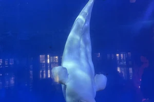 济南欧乐堡旅游攻略_济南欧乐堡闺蜜月活动_泉城欧乐堡低龄宝宝游玩攻略