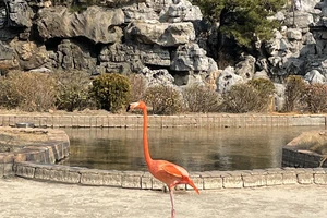 济南欧乐堡闺蜜月活动_济南欧乐堡旅游攻略_泉城欧乐堡低龄宝宝游玩攻略