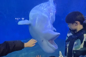 泉城欧乐堡低龄宝宝游玩攻略_济南欧乐堡闺蜜月活动_济南欧乐堡旅游攻略