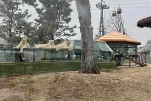 济南欧乐堡旅游攻略_济南欧乐堡闺蜜月活动_泉城欧乐堡低龄宝宝游玩攻略