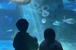 济南欧乐堡旅游攻略_济南欧乐堡闺蜜月活动_泉城欧乐堡低龄宝宝游玩攻略