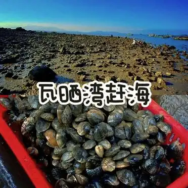 <strong>闸坡大角湾旅游攻略</strong>_<strong>闸坡大角湾旅游攻略</strong>_闸坡大角湾行程推荐