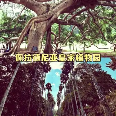 斯里兰卡自由行攻略_斯里兰卡亲子游行程_到斯里兰卡旅游攻略
