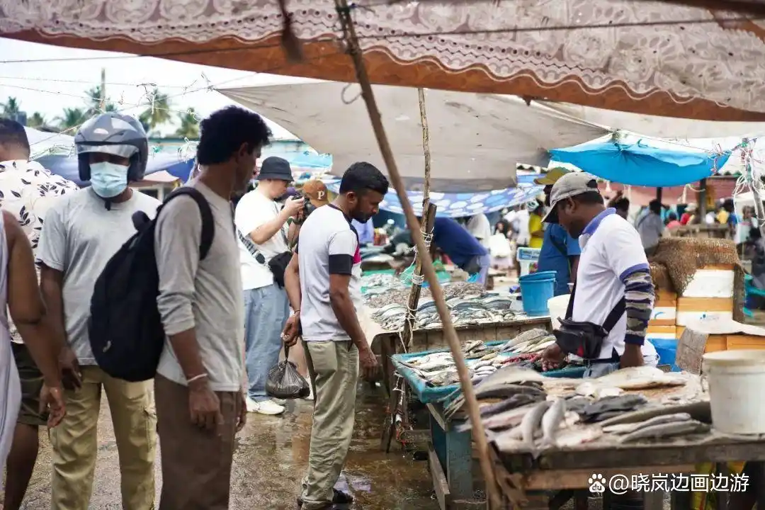 斯里兰卡8日游行程_到斯里兰卡旅游攻略_斯里兰卡旅行体验分享