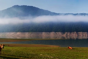 绿江村旅游攻略_绿江村旅游攻略_鸭绿江风景名胜区