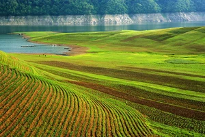 绿江村旅游攻略_绿江村旅游攻略_鸭绿江风景名胜区