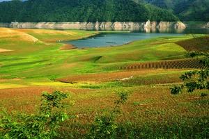 绿江村旅游攻略_鸭绿江风景名胜区_绿江村旅游攻略