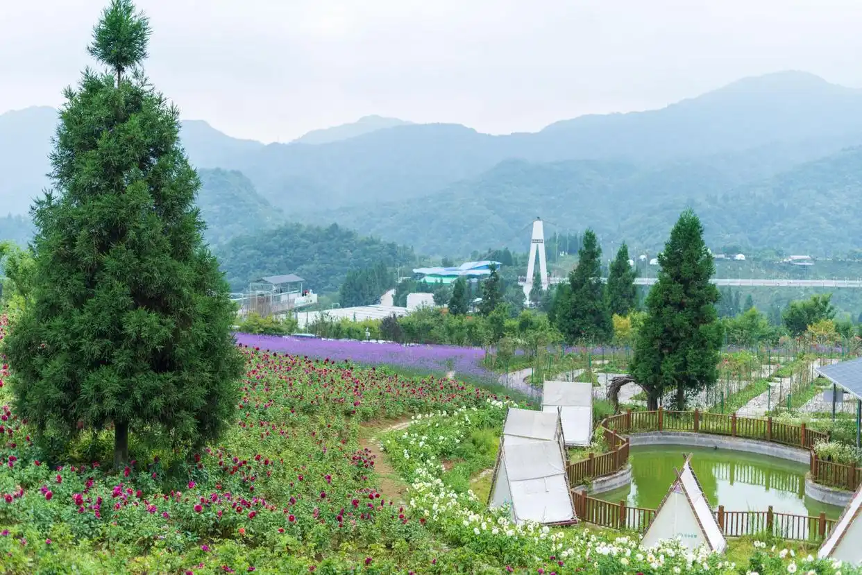 重庆石柱三日游攻略_石柱黄水旅游攻略_黄水国家森林公园旅游攻略