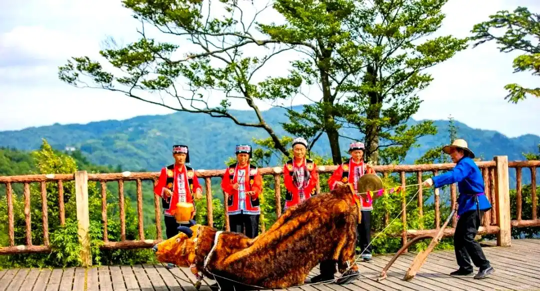 重庆黄水旅游度假区攻略_石柱黄水旅游攻略_黄水国家级旅游度假区