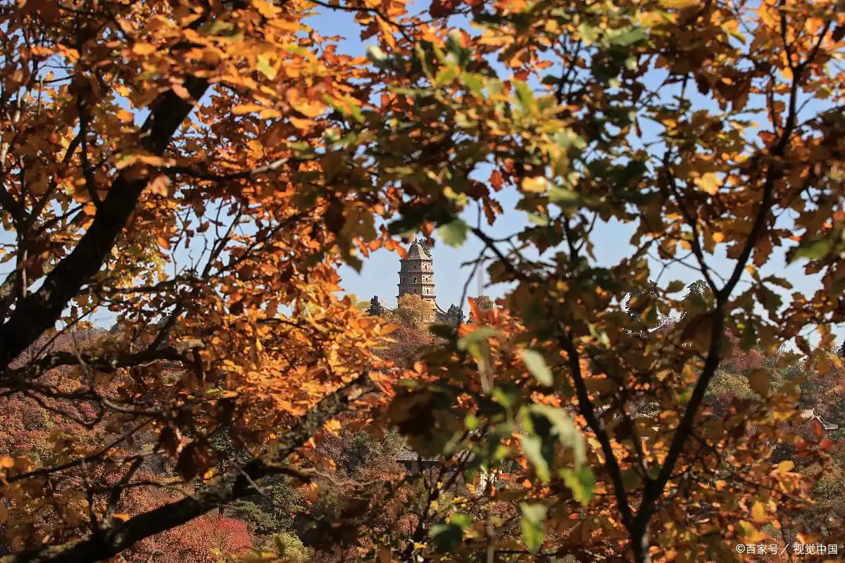 忻州旅游攻略_忻州秋季旅游攻略_五台山红叶观赏