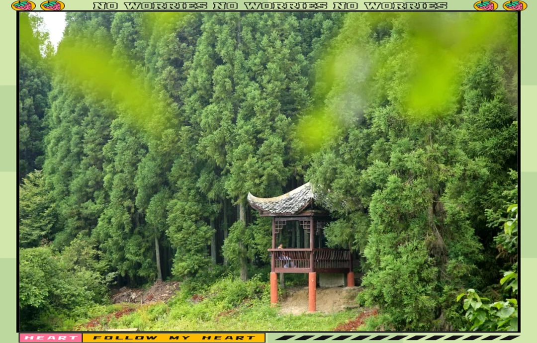 大风堡景区探险_石柱黄水避暑胜地_石柱黄水旅游攻略