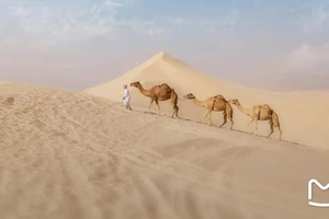 多哈旅游攻略_多哈旅游攻略_卡塔尔国家博物馆