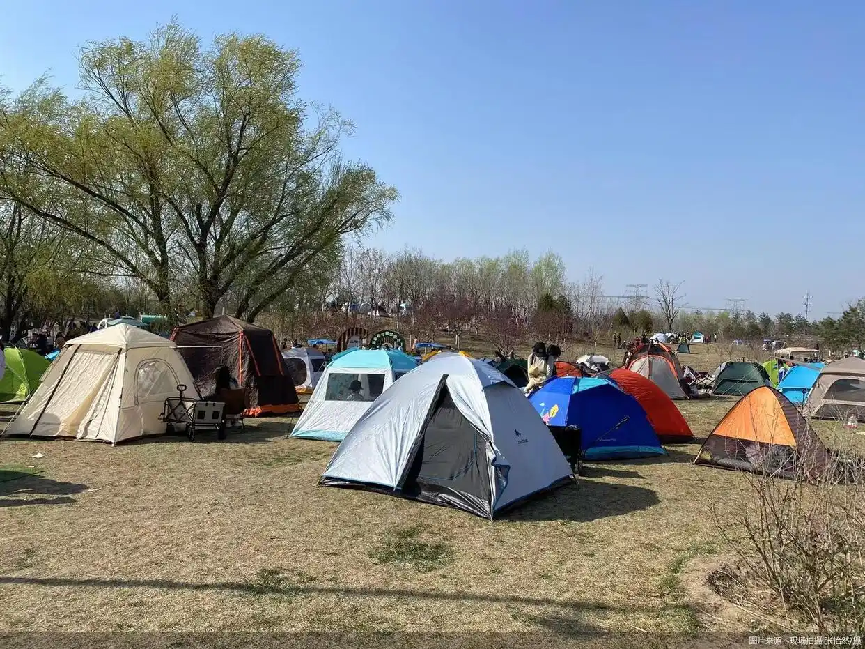 本地游周边游市场趋势_清明假期旅游市场分析_清明小长假旅游攻略