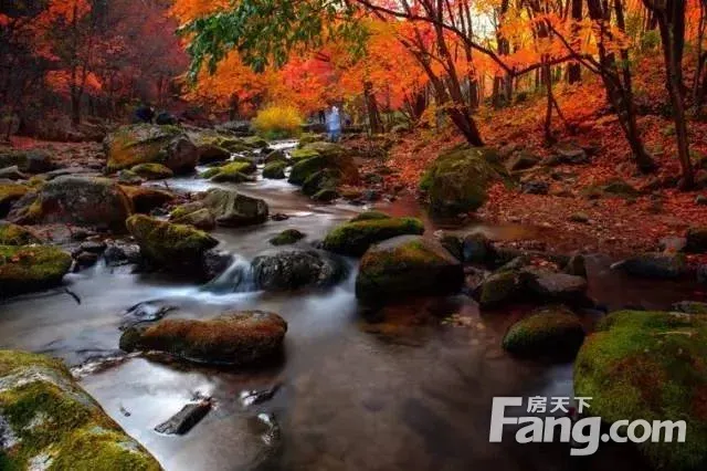 沈阳到冰峪沟旅游攻略_沈阳周边不输九寨沟的景点_大连冰峪沟旅游攻略