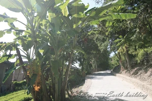 南靖土楼旅游攻略_福建南靖土楼旅游攻略_土楼建筑特色