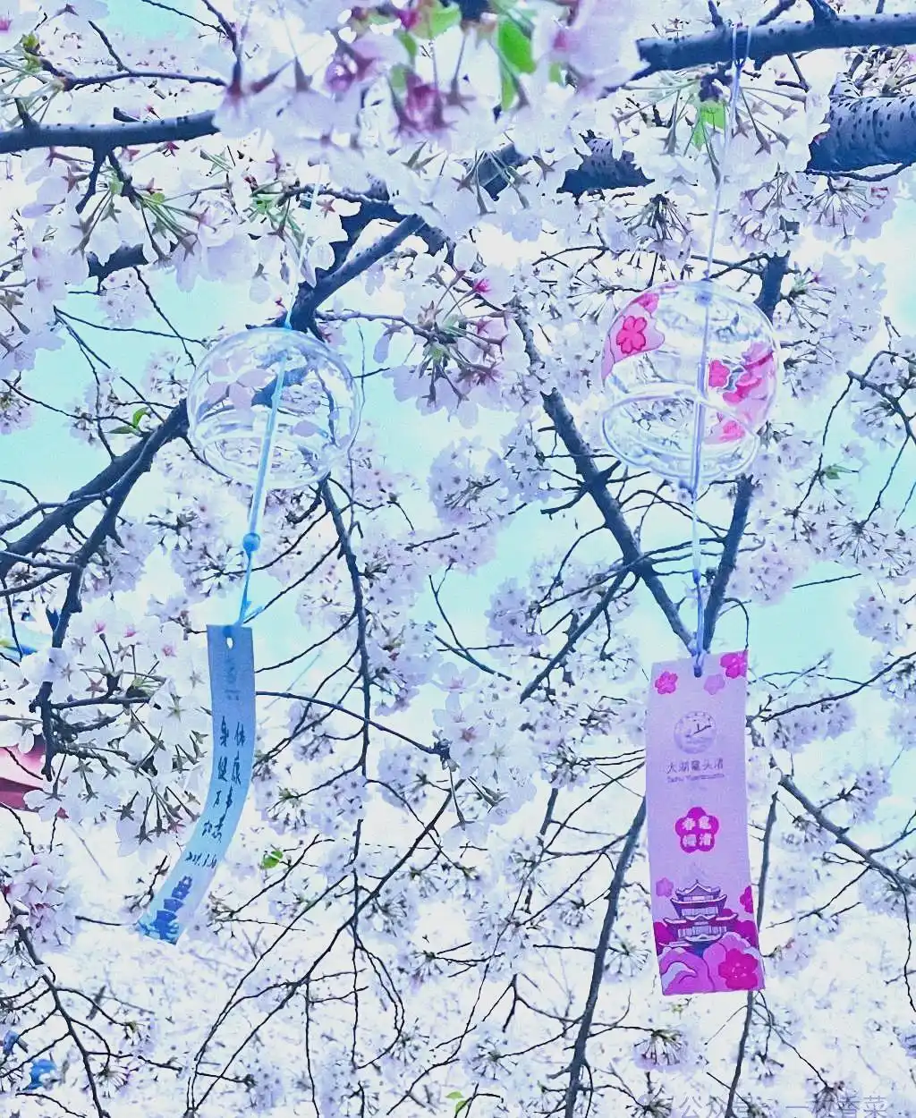 无锡鼋头渚旅游攻略_鼋头渚旅游攻略_鼋头渚门票交通指南