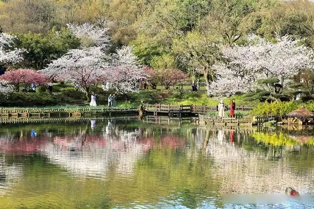 无锡鼋头渚旅游攻略_鼋头渚最佳游览路线_避开人群游览鼋头渚攻略
