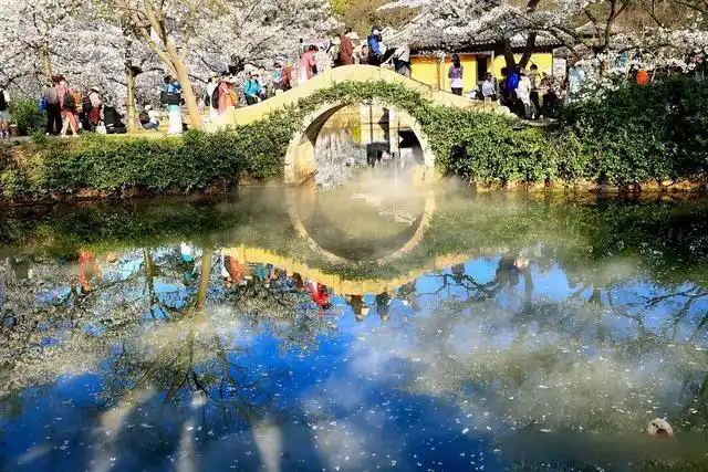 无锡鼋头渚旅游攻略_避开人群游览鼋头渚攻略_鼋头渚最佳游览路线
