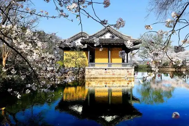 无锡鼋头渚旅游攻略_鼋头渚最佳游览路线_避开人群游览鼋头渚攻略