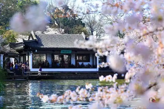 避开人群游览鼋头渚攻略_无锡鼋头渚旅游攻略_鼋头渚最佳游览路线