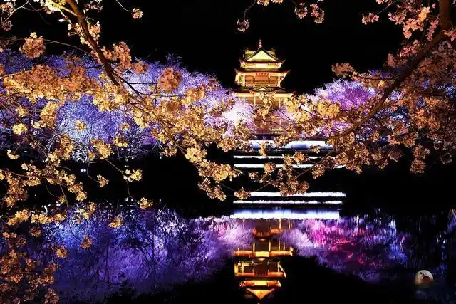避开人群游览鼋头渚攻略_无锡鼋头渚旅游攻略_鼋头渚最佳游览路线