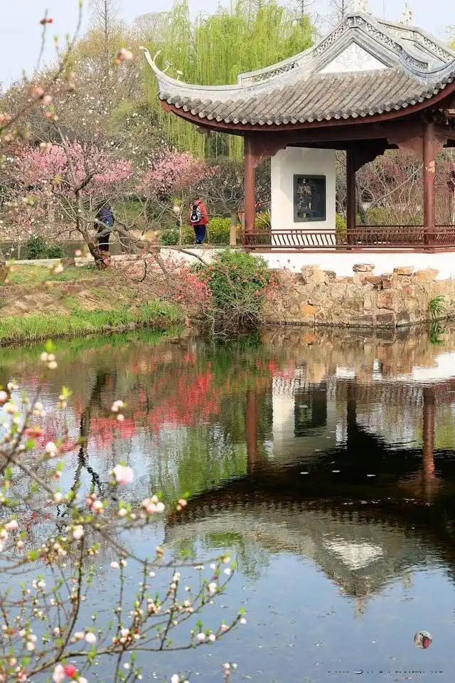 无锡鼋头渚旅游攻略_鼋头渚最佳游览路线_避开人群游览鼋头渚攻略