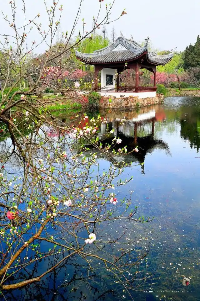 无锡鼋头渚旅游攻略_避开人群游览鼋头渚攻略_鼋头渚最佳游览路线