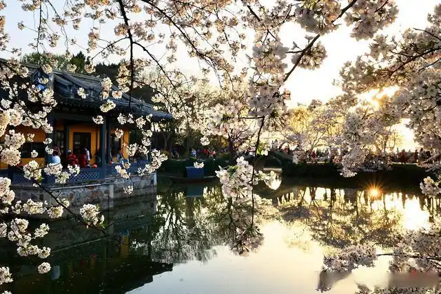 避开人群游览鼋头渚攻略_无锡鼋头渚旅游攻略_鼋头渚最佳游览路线
