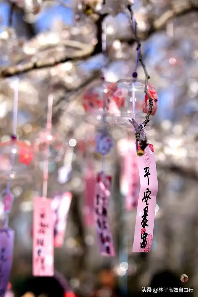 鼋头渚最佳游览路线_避开人群游览鼋头渚攻略_无锡鼋头渚旅游攻略