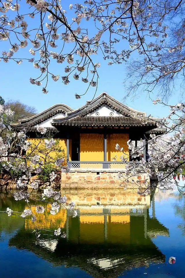 鼋头渚最佳游览路线_无锡鼋头渚旅游攻略_避开人群游览鼋头渚攻略